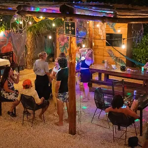 Mapache & Ilha Holbox